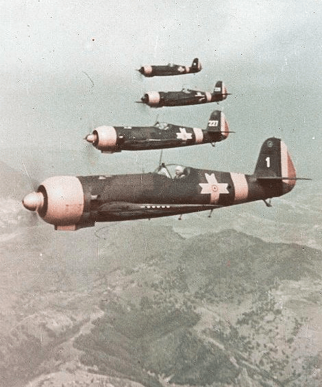 IAR 80-81
